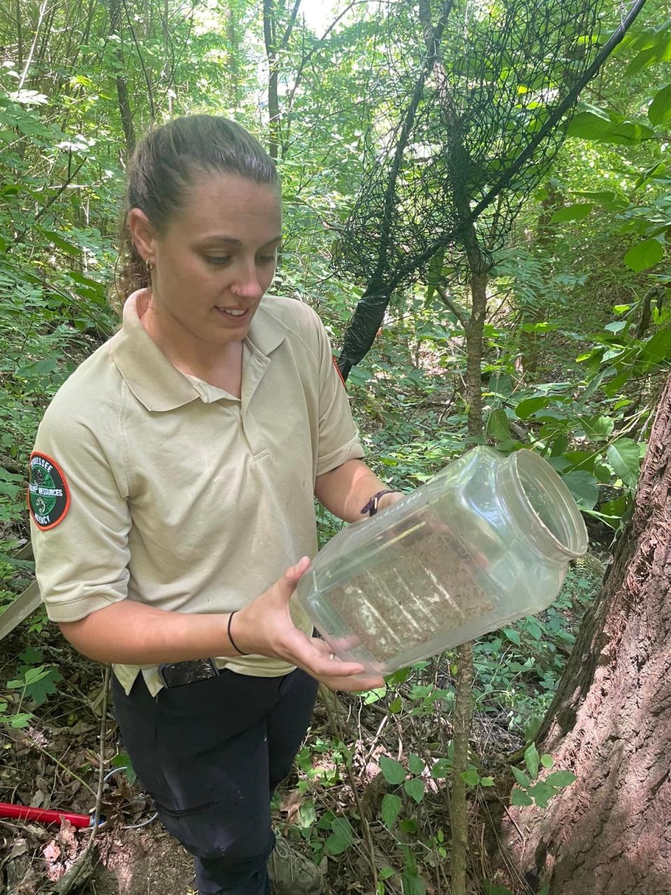 The container which became stuck on the bear’s head (Tennessee Wildlife Resources Agency/Facebook)