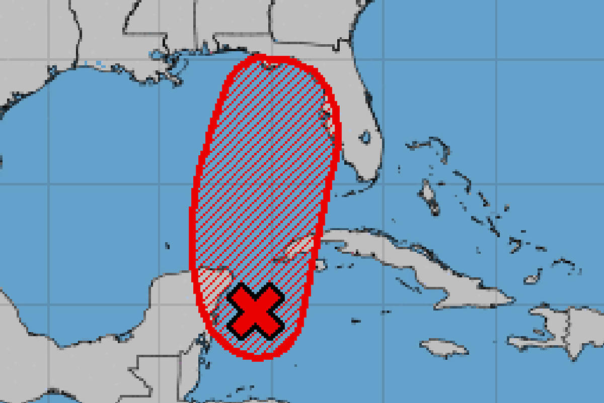 Крайбрежието на Персийския залив на Флорида е нащрек, тъй като се формира тропическа депресия и се прогнозира да се превърне в ураган