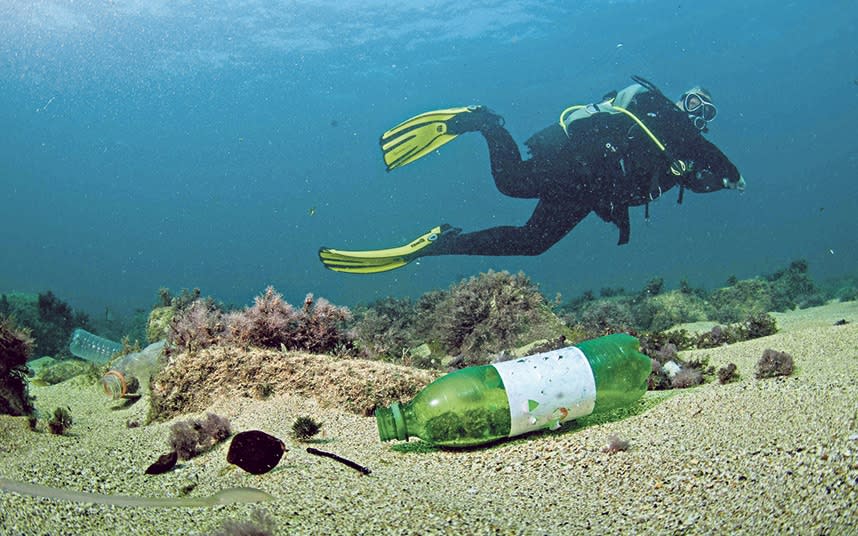 Plastic pollution is everywhere - ©David Jones