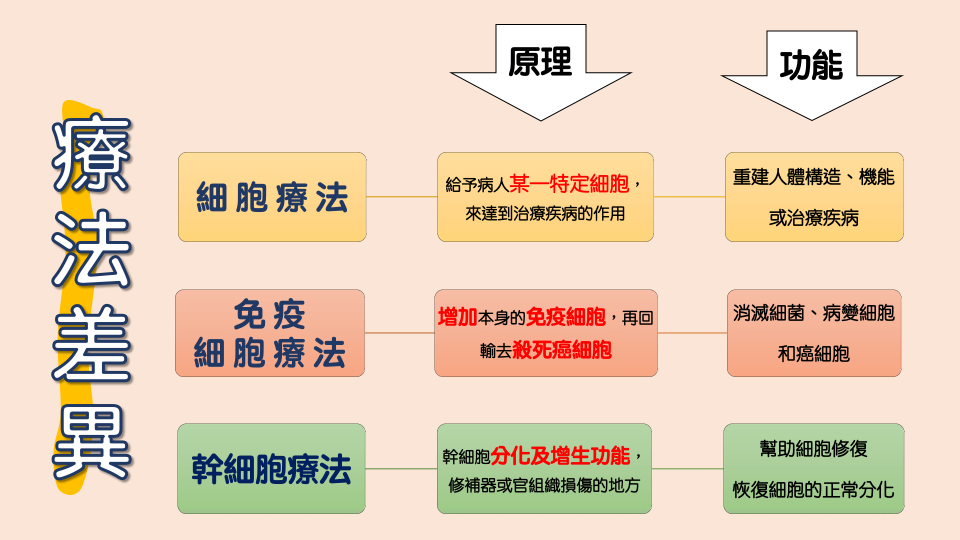 3種細胞療法的差別。/ 資料來源：健眾生醫細胞提供