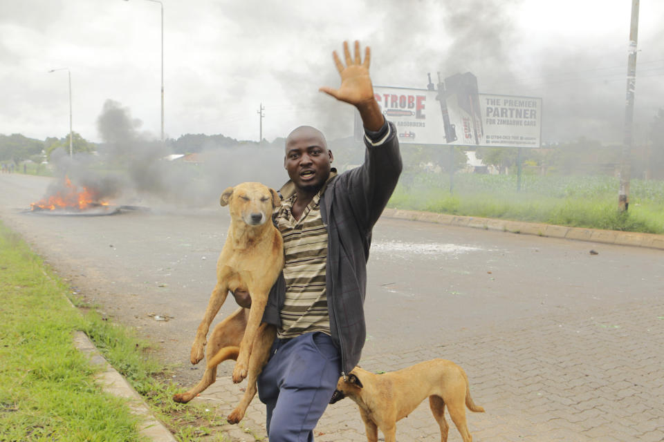 A protestor with his dogs as protestors gather during a demonstration over the hike in fuel prices in Harare, Zimbabwe, Tuesday, Jan. 15, 2019. A Zimbabwean military helicopter on Tuesday fired tear gas at demonstrators blocking a road and burning tires in the capital on a second day of deadly protests after the government more than doubled the price of fuel in the economically shattered country. (AP Photo/Tsvangirayi Mukwazhi)