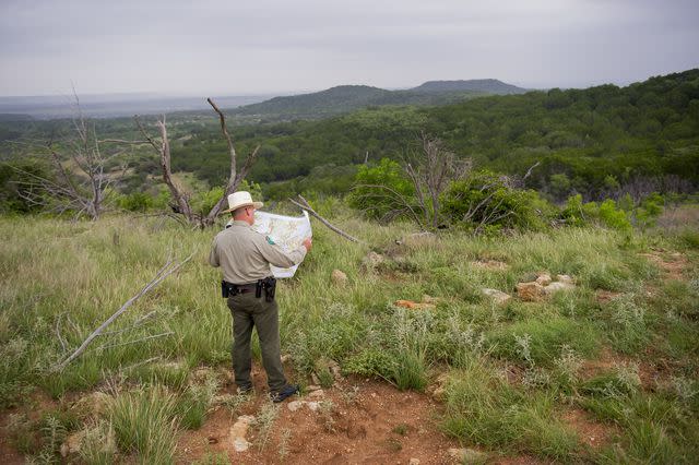<p>Photo courtesy Texas Parks and Wildlife Department Â© 2022</p>