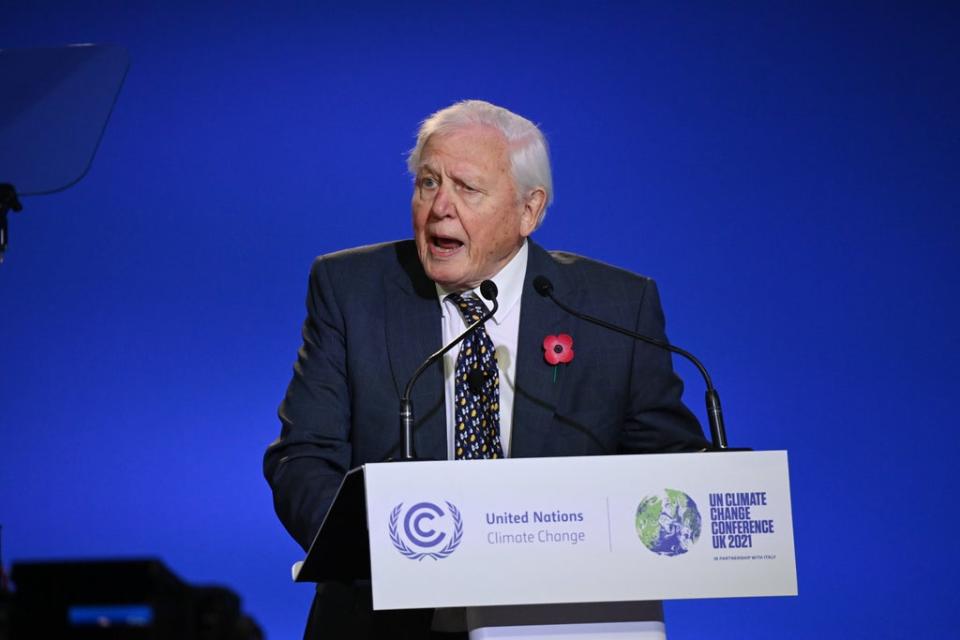 Sir David Attenborough speaking during the opening ceremony (Jeff J Mitchell/PA) (PA Wire)