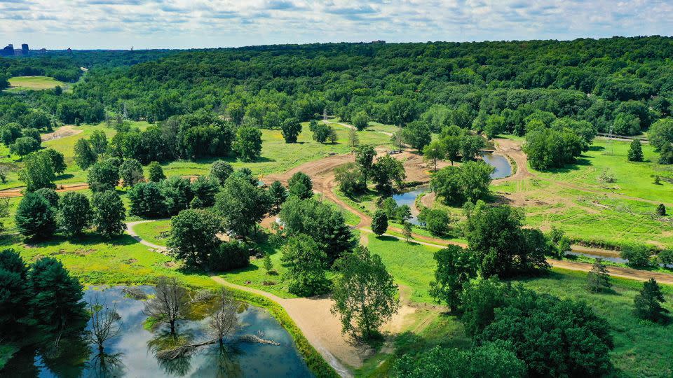 Wildlife has bounced back since Ohio’s Valley View Golf Course was rewilded. - Summit Metro Parks