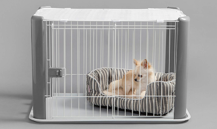 Keeping a puppy in a kennel or pet carrier when you cannot spend one on one time with him is known as crate training.