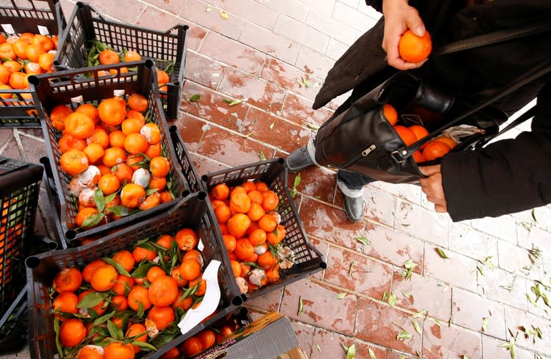 FILE PHOTO: A woman picks up discarded fruits after a market in Nice