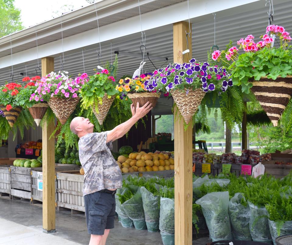 Steve Gebay of Logan County checks out some of the hanging baskets at Harvey's Market near Nashville.