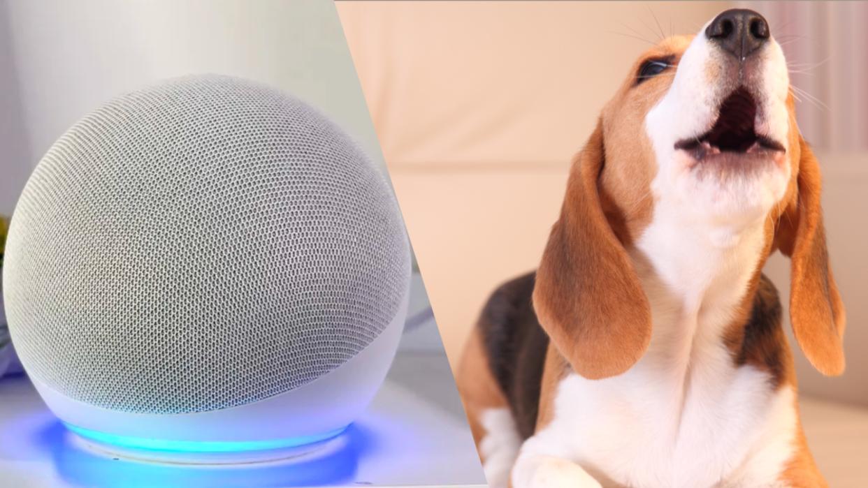  An Amazon Echo Dot next to a photo of a barking dog . 
