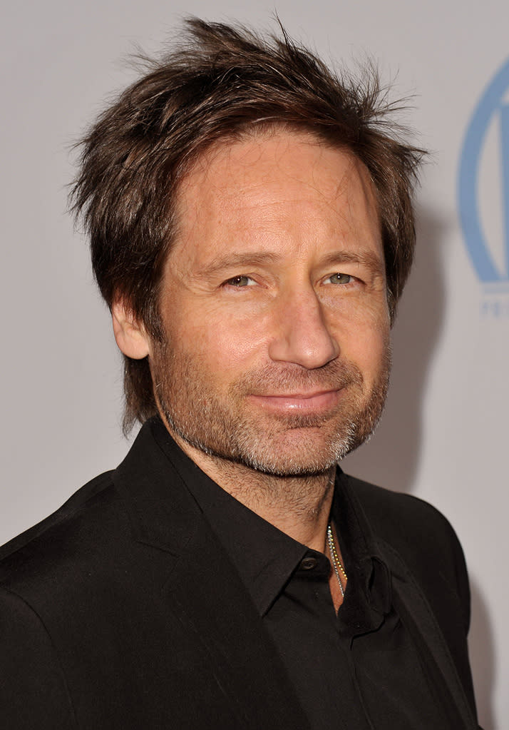 21st Annual Producers Guild Awards 2010 David Duchovny