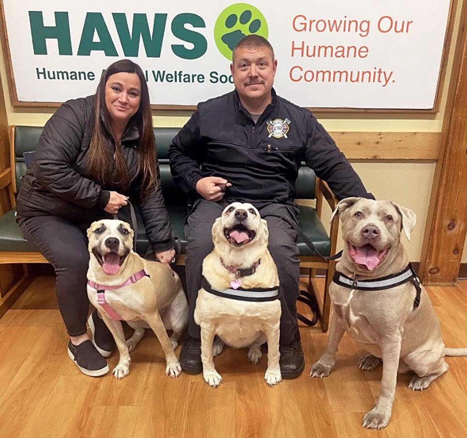 Marley with his friends. Marley was adopted by the firefighter that rescued him from a plane crash