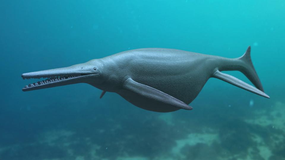 Giant Ichthyosaurus aquatic dinosaur, 3D rendered