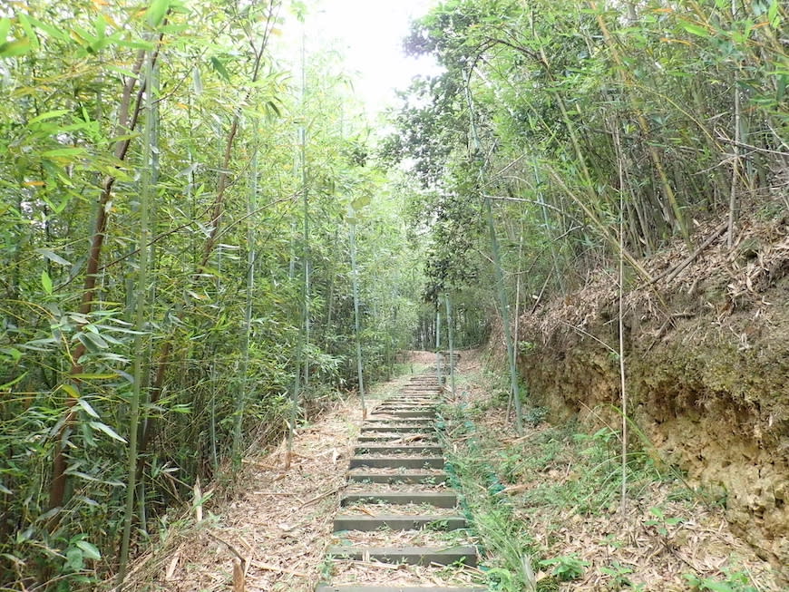 苗栗鐘樓古道