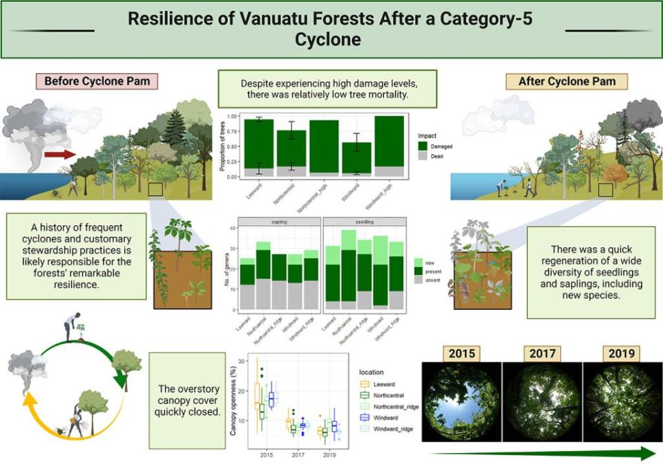 2015年瓦努阿圖坦納島遭遇5級氣旋帕姆侵襲，當地森林經歷嚴重破壞後，在三年內迅速恢復。研究表明，坦納島長期的氣旋歷史和當地社區對多樣樹種的保護管理，為抵禦強烈氣旋提供了重要支持。（圖／<a href="https://www.sciencedirect.com/science/article/abs/pii/S0048969724011124?via%3Dihub" rel="nofollow noopener" target="_blank" data-ylk="slk:Science of The Total Environment;elm:context_link;itc:0;sec:content-canvas" class="link ">Science of The Total Environment</a>）