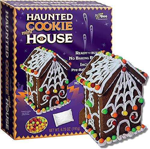 4) Haunted Cookie Mini House Kit