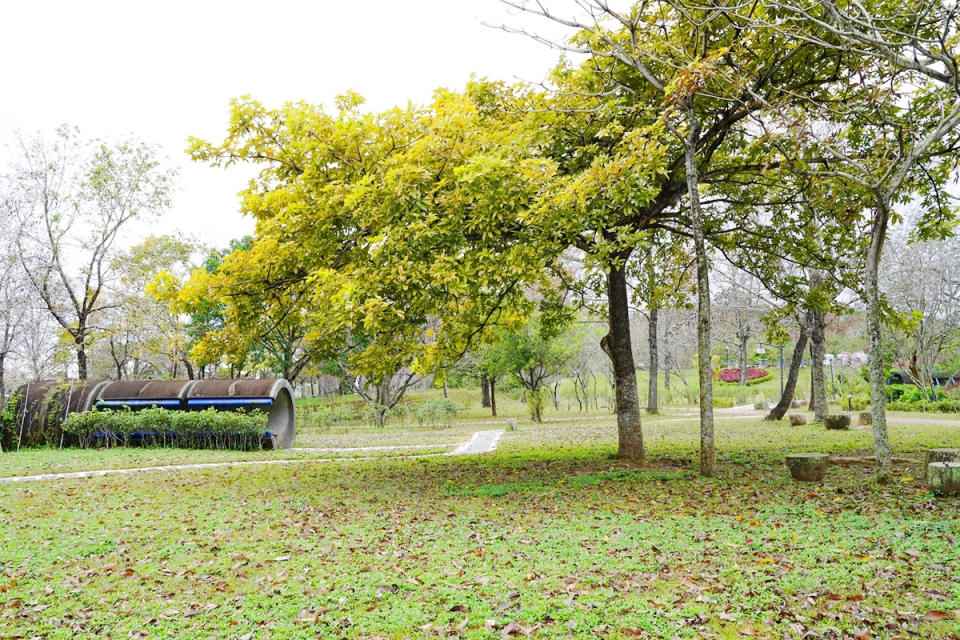 苗栗｜日新島