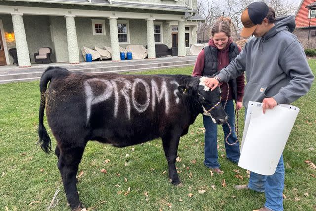 <p>Courtesy of Wyatt Carlson</p> Emma Lihs asks boyfriend Wyatt Carlson to prom using her pet cow