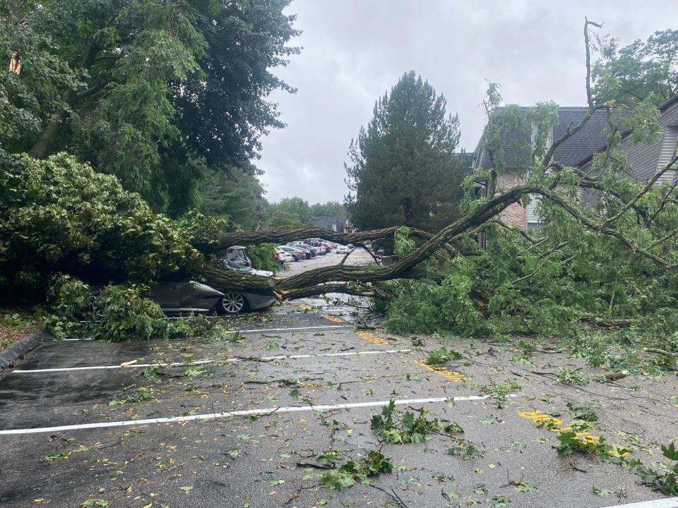 At North Hills Condominiums, in North Providence off Douglas Avenue, a tree crushed a vehicle during the August 18th storm