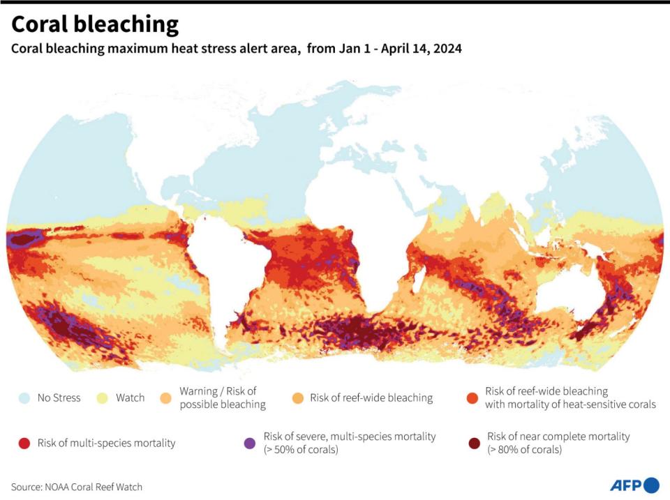 <span>World map showing coral bleaching heat stress alerts from January 1 to April 14, 2024, according to the US National Oceanic and Atmospheric Administration</span><div><span>Jonathan WALTER</span><span>Aníbal Maíz Cáceres</span><span>AFP</span></div>