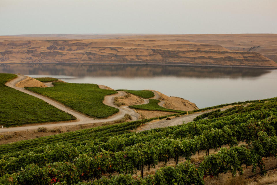 Matthews scenic vineyard in Wallula, WA<p>Courtesy of Matthews</p>