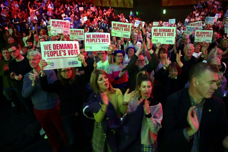 Some campaigners are calling for a second popular vote on Brexit