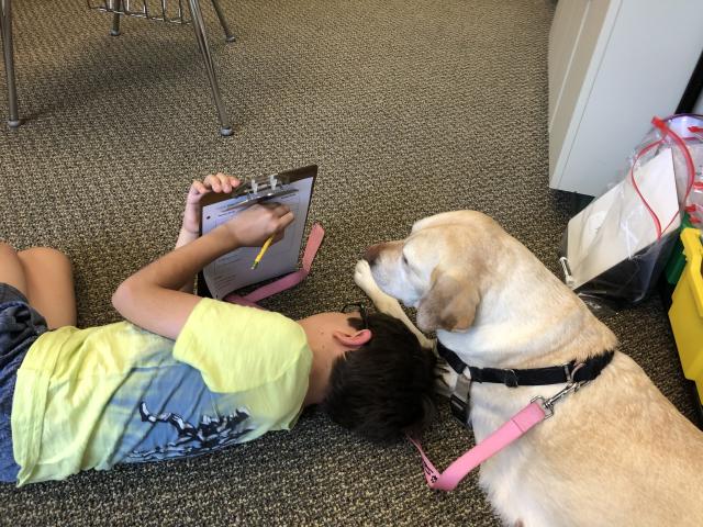 The dogs are also used to help kids overcome their nervousness about presenting a report in front of the class or reading aloud. (Photo: Scotts Ridge Middle School)