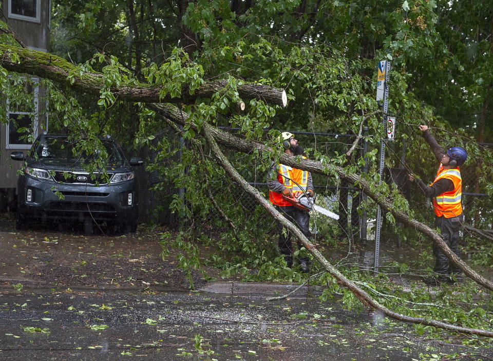 Workers remove a fallen tree blocking a road in Dartmouth, Nova Scotia. as Hurricane Dorian approaches on Saturday, Sept. 7, 2019. Despite gradually transitioning to a post-tropical storm, Dorian will continue to be as strong as a Category 1. (Andrew Vaughan/The Canadian Press via AP)