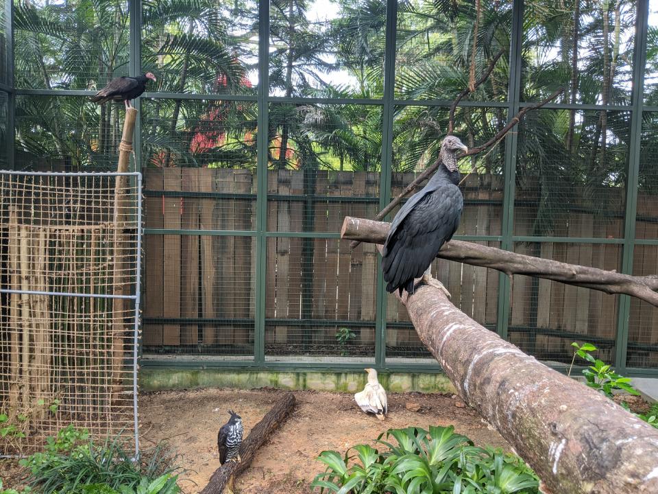 Aviary. (PHOTO: Jurong Bird Park)