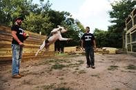 <p>A rescued pitbull jumped for joy at Staten Island's Pitbulls and Addicts in August 2017. Michael Favor (left), a recovering drug addict, founded the rescue group, which relies on volunteers — many of them recovering addicts themselves — to train and find homes for stray, abandoned, or abused dogs.</p>