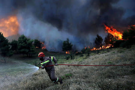 A firefighter pulls a hose as he tries to extinguish a fire during a wildfire near the village of Metochi, north of Athens, Greece, August 14, 2017. REUTERS/Alkis Konstantinidis