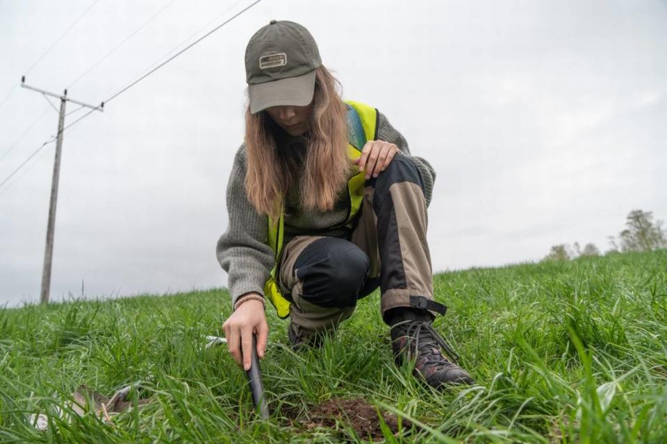 Eline Hauge searches the ground with a small metal detecting tool.