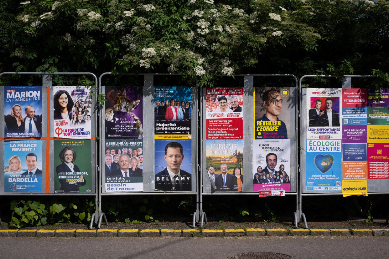 Des panneaux installés pour les européennes à Hindlingen, dans le Haut-Rhin, et photographiés le 4 juin.