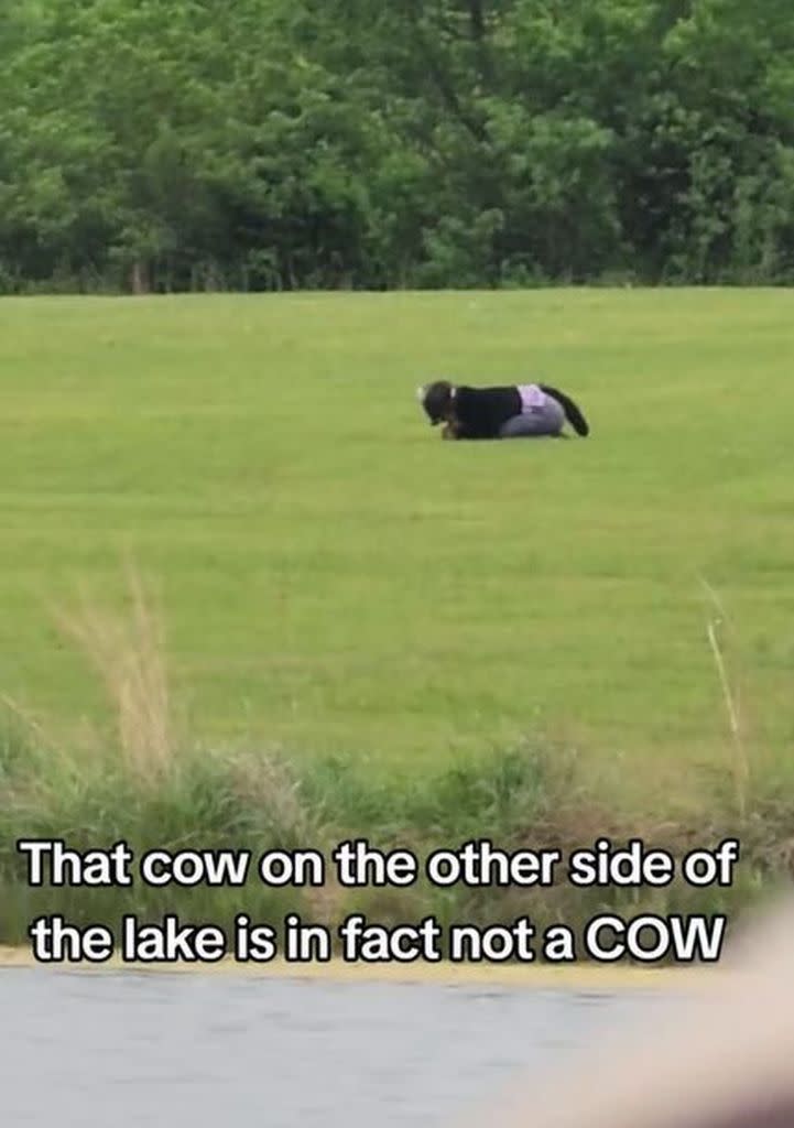 Wedding guests were shocked to discover that the nearby “cow” was, in fact, someone who identifies as “therian,” or a non-human animal. KennedyNews/xxshadowslightxx