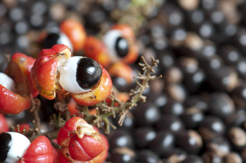 Guarana, a stimulant that's from a plant native to the Amazon basin, contains about double the amount of caffeine seen in coffee beans. (Photo via Getty Images)