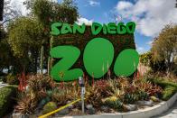 <p>More than 12,000 rare and endangered animals live at the <a href="https://zoo.sandiegozoo.org/plan-your-visit" rel="nofollow noopener" target="_blank" data-ylk="slk:San Diego Zoo;elm:context_link;itc:0;sec:content-canvas" class="link ">San Diego Zoo</a>, which is why it's often ranked as the number one zoo in the world. The expansive, 100-acre park is filled with activities for the whole family — including special experiences, like the Discovery Cart Tour and Early Morning Cheetah Experience.</p>