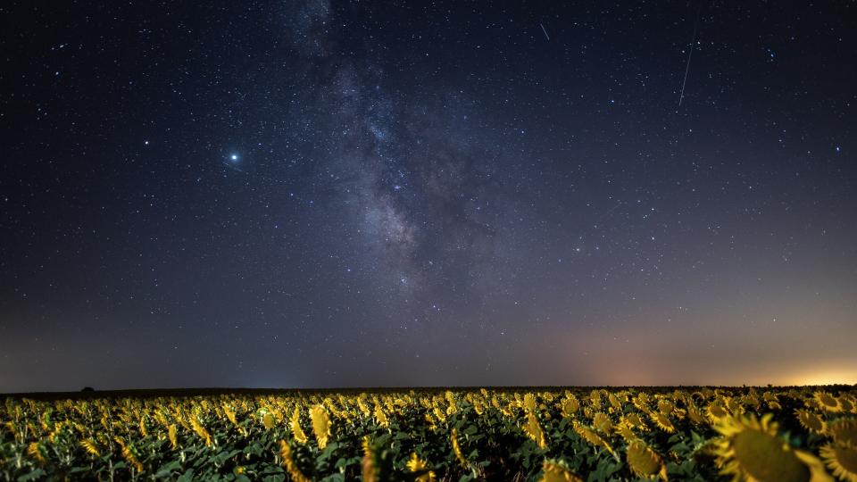BRIHUEGA, GUADALAJARA, SPAIN - 2020/08/12: Meteors crossing the night sky over a sunflowers field during the Perseid meteor shower. (Photo by Marcos del Mazo/LightRocket via Getty Images) (Photo: Marcos del Mazo via Getty Images)
