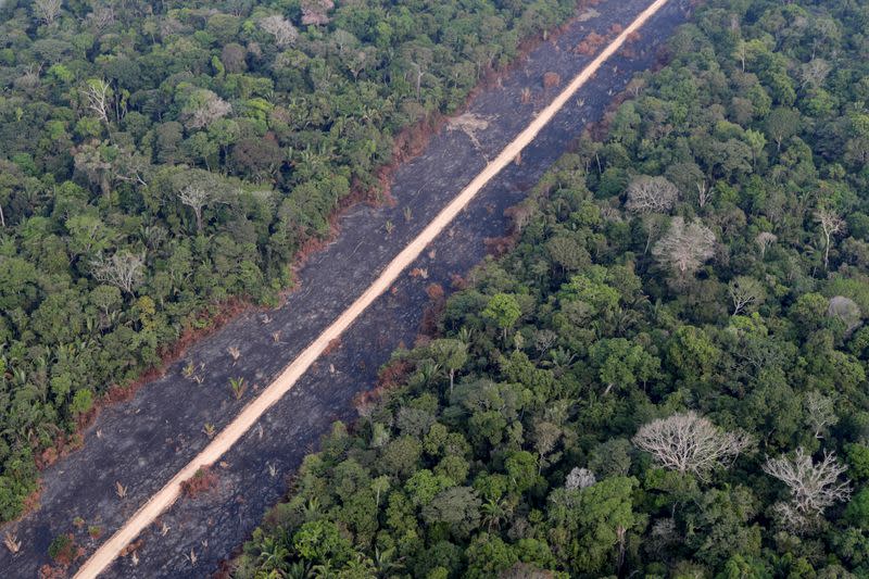 The Wider Image: The mission to save the Amazon's animals