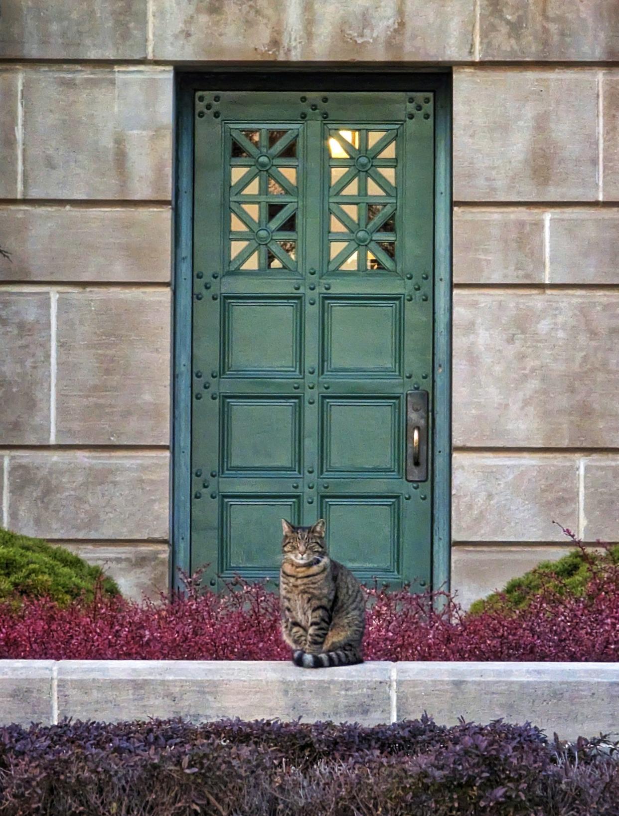 Cameron, the Nebraska State Capitol's frequent visitor