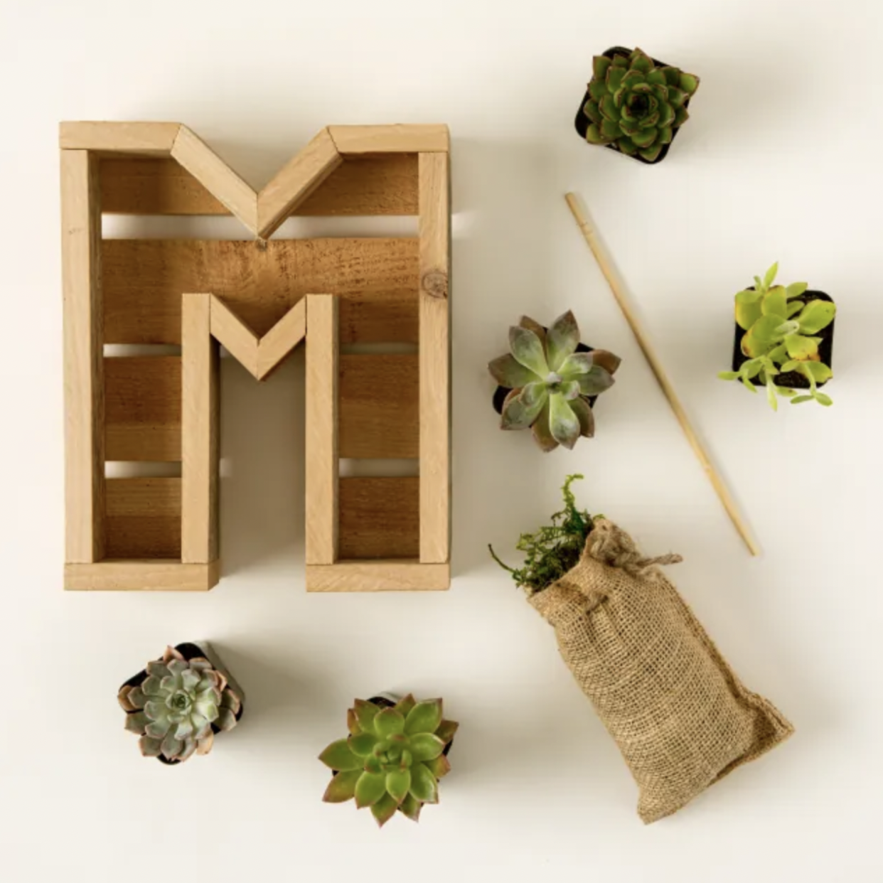 <p><a href="https://go.redirectingat.com?id=74968X1596630&url=https%3A%2F%2Fwww.uncommongoods.com%2Fproduct%2Fsucculent-letter-diy-kit&sref=https%3A%2F%2Fwww.countryliving.com%2Fshopping%2Fgifts%2Fg4835%2Fbirthday-gifts-for-mom%2F" rel="nofollow noopener" target="_blank" data-ylk="slk:Shop Now;elm:context_link;itc:0;sec:content-canvas" class="link rapid-noclick-resp">Shop Now</a></p><p>Succulent Letter DIY Wall Kit </p><p>uncommongoods.com</p><p>$97.00</p>