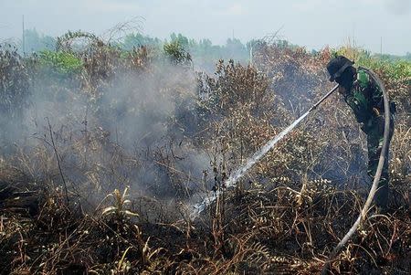 An Indonesian soldier tries to extingusih a peatland fire in Kampar, Riau, Sumatra island, Indonesia August 23, 2016 in this photo taken by Antara Foto. Picture taken August 23, 2016. Antara Foto/Rony Muharrman/ via REUTERS