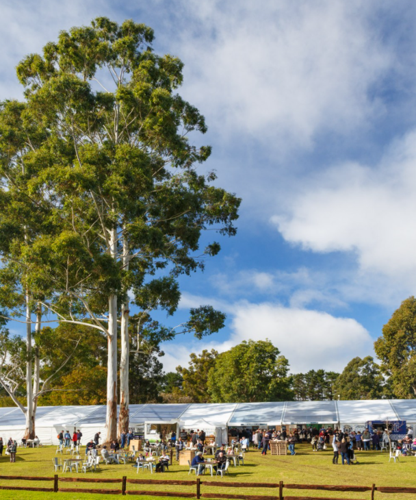 <p>Located In the heart of Manjimup, Western Australia, some of the world’s most luxurious black truffles are grown.<br>And to celebrate they have decided to hold a three-day festival, just 90 minutes outside of Perth. <br>Meet the famers and growers from the region and indulge in one of the most expensive and most luxurious products in the world.<br>You won’t leave empty handed. For more information go to their <a rel="nofollow noopener" href="http://www.trufflekerfuffle.com.au" target="_blank" data-ylk="slk:website;elm:context_link;itc:0;sec:content-canvas" class="link ">website</a>. Source: Instagram/trufflekerfuffle </p>