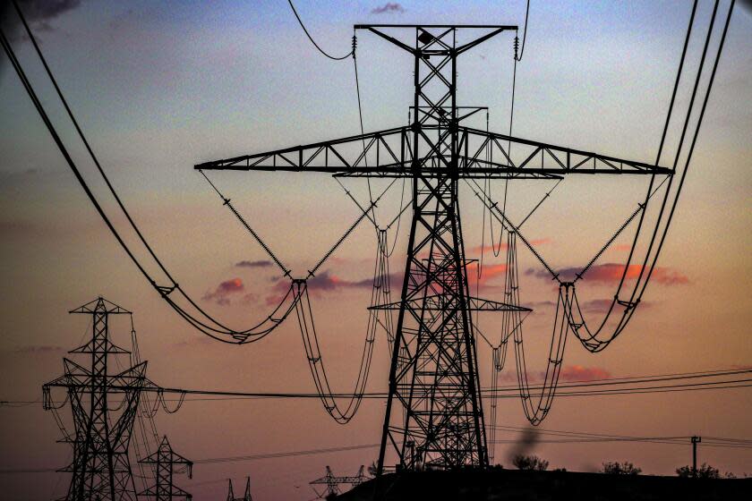 Victorville, CA - October 06: Electric pylons provide perfect nesting place for tortoise-killing ravens in Mojave desert on Thursday, Oct. 6, 2022 in Victorville, CA. (Irfan Khan / Los Angeles Times)