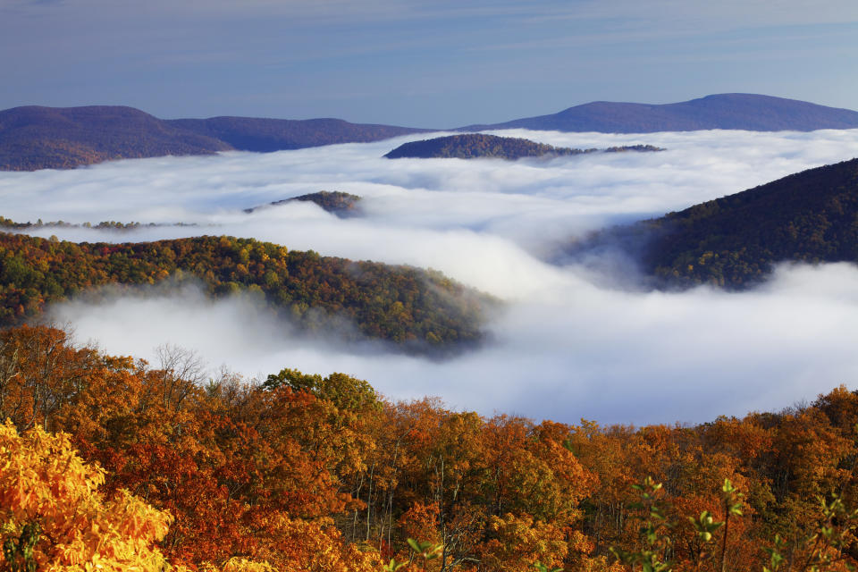 A fog ocean blankets the forests of Shenandoah national park.