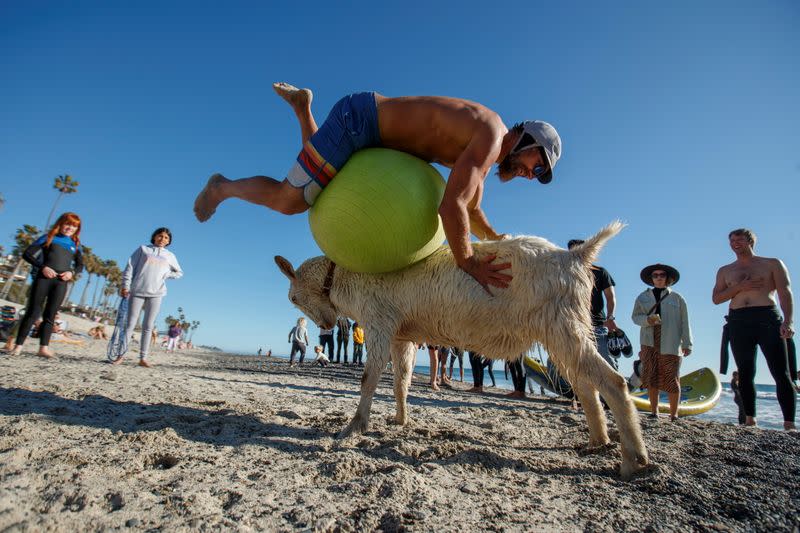 Dana McGregor plays "goat ball" on the beach after surfing with his goat Pismo in San Clemente, California