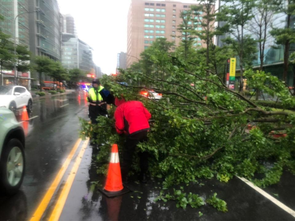 台北市內湖科學園區瑞光路與港墘路口路樹倒塌，交通大打結。翻攝畫面