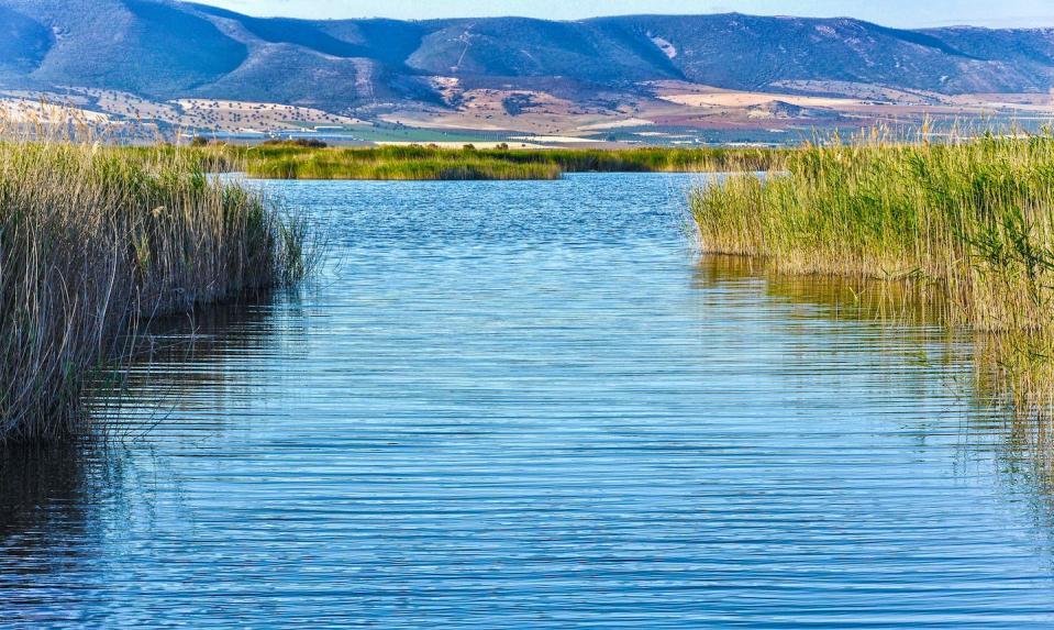 La sobreexplotación del acuífero de La Mancha Occidental (España) afecta al estado de los humedales del Parque Nacional de Las Tablas de Daimiel. <a href="https://www.shutterstock.com/es/image-photo/tablas-de-daimiel-national-park-climate-1359372875" rel="nofollow noopener" target="_blank" data-ylk="slk:Luis Pizarro Ruiz / Shutterstock;elm:context_link;itc:0;sec:content-canvas" class="link ">Luis Pizarro Ruiz / Shutterstock</a>