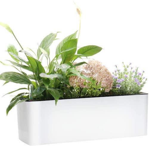 Garden Basix Elongated Self Watering Planter