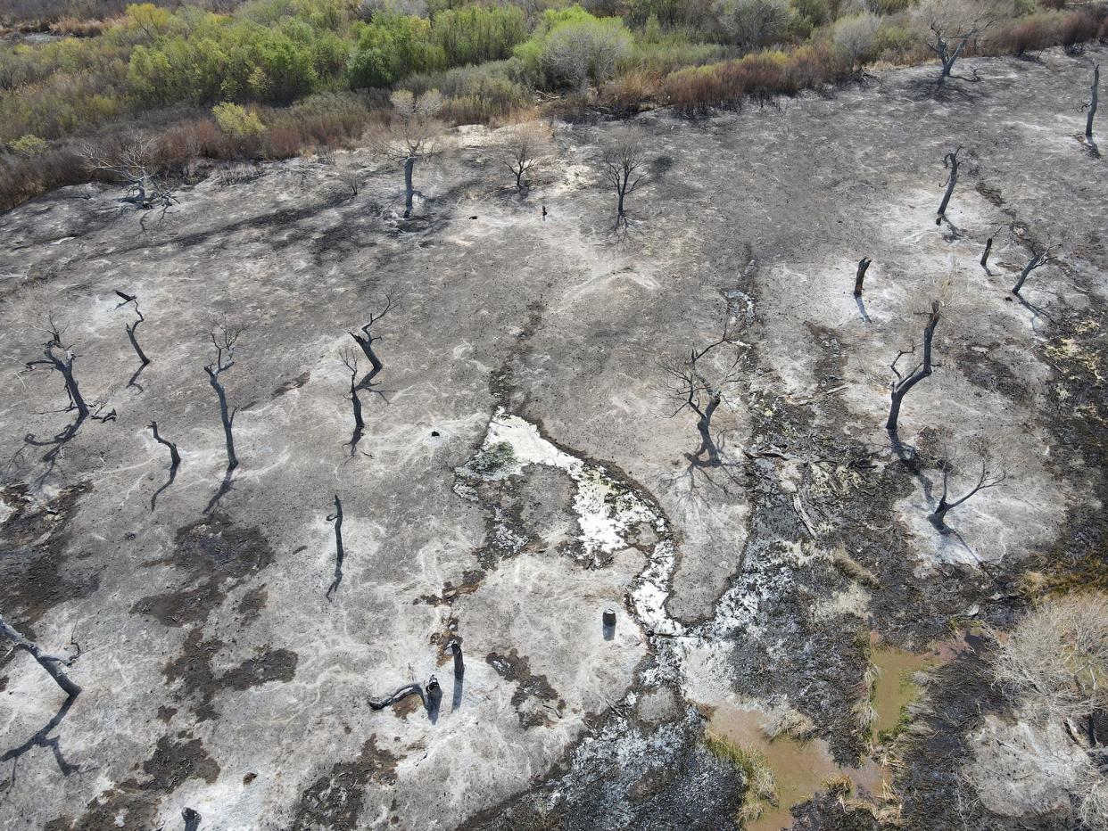 An aerial photo shows fire damage in Palisades Ranch, a conservation area along the Mojave River where the water flows above ground.