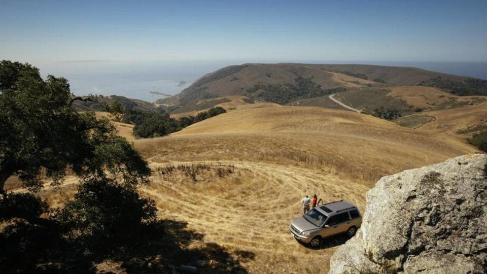 The higher elevations of the Wild Cherry Canyon property near Avila Beach offer ocean views from Montana de Oro State Park to Point Sal on a clear day.