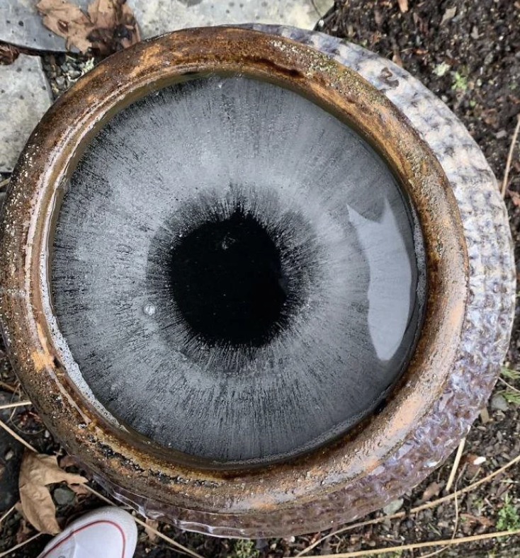 top view into a pot looks like a huge eyeball
