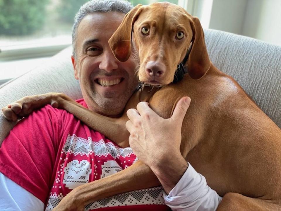 Jason Puca and his 1-year-old vizsla Zoe were both stung by yellow jackets on two seperate occasions. Jason got stung in July 2021, while Zoe got stung in November 2020.